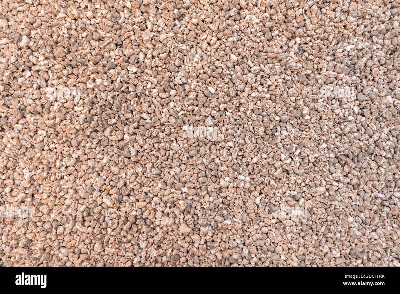 Corn cob litter background. Pet bedding for small animal, rodents