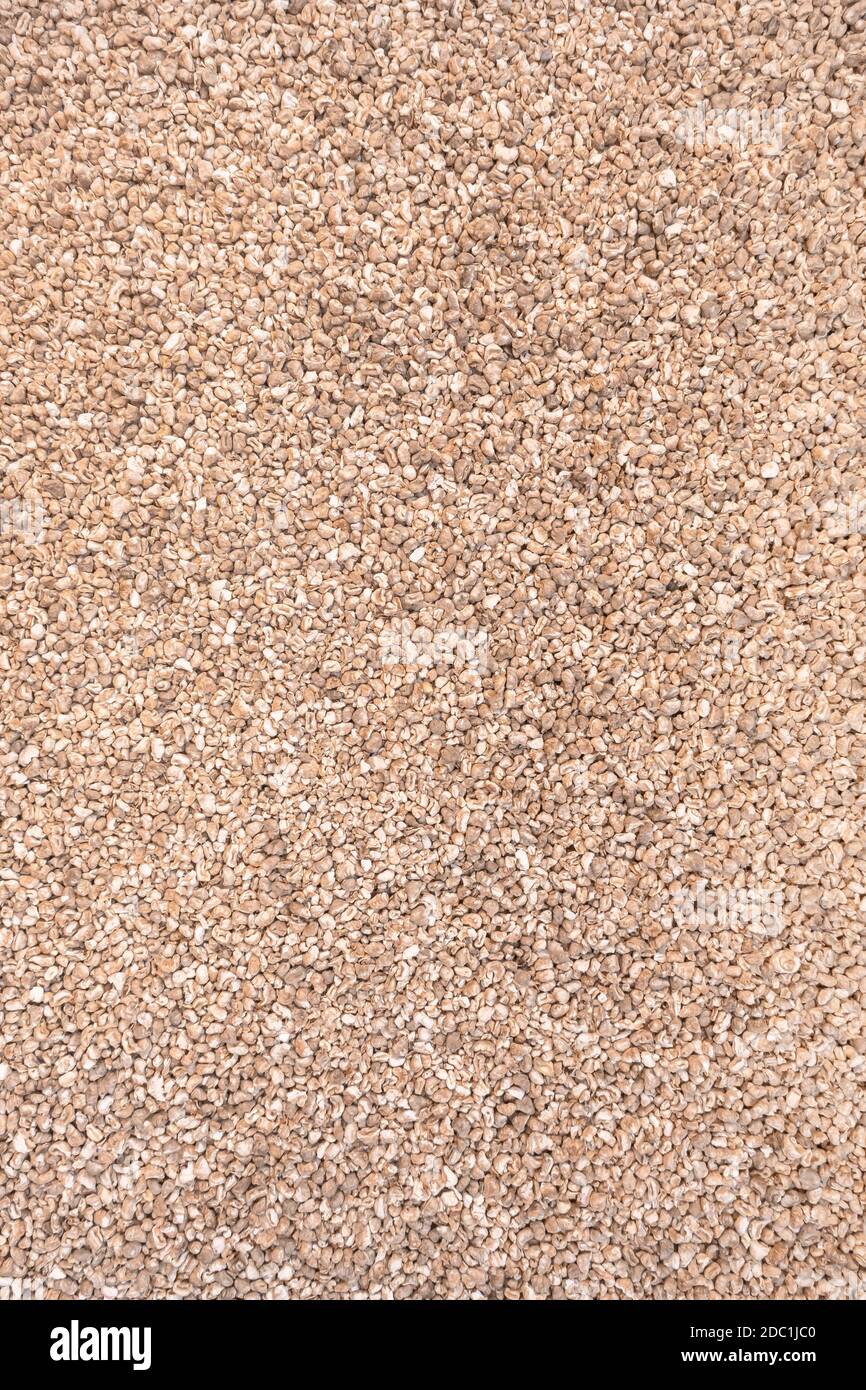 Corn cob litter background. Pet bedding for small animal, rodents