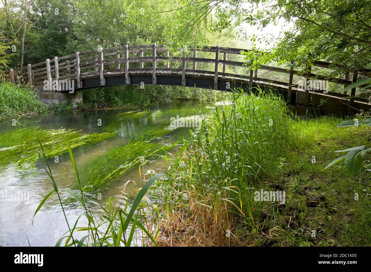 A footbridge on the River Wylye near Steeple Langford in Wiltshire. Stock Photo