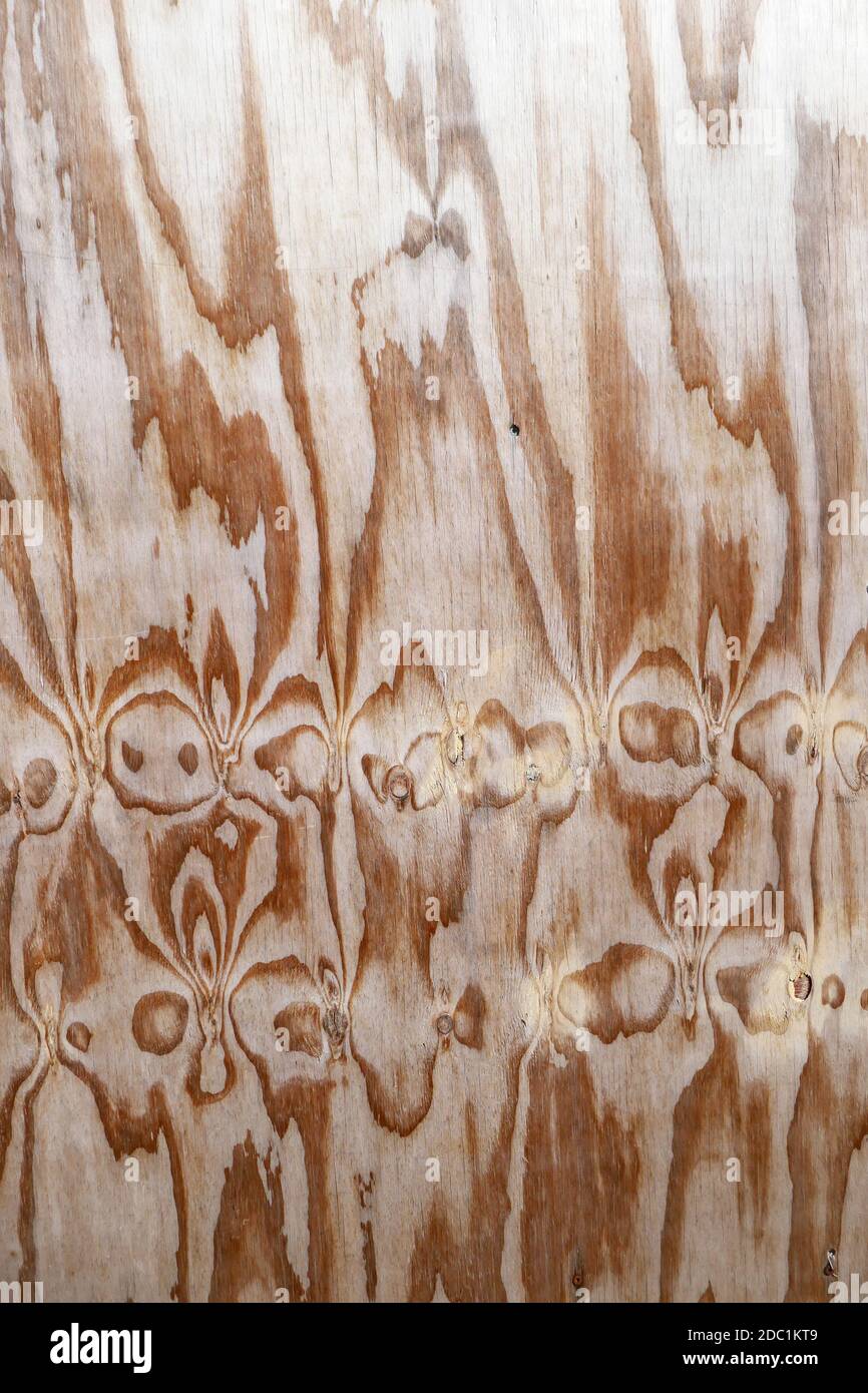 Wood veneer Stock Photo