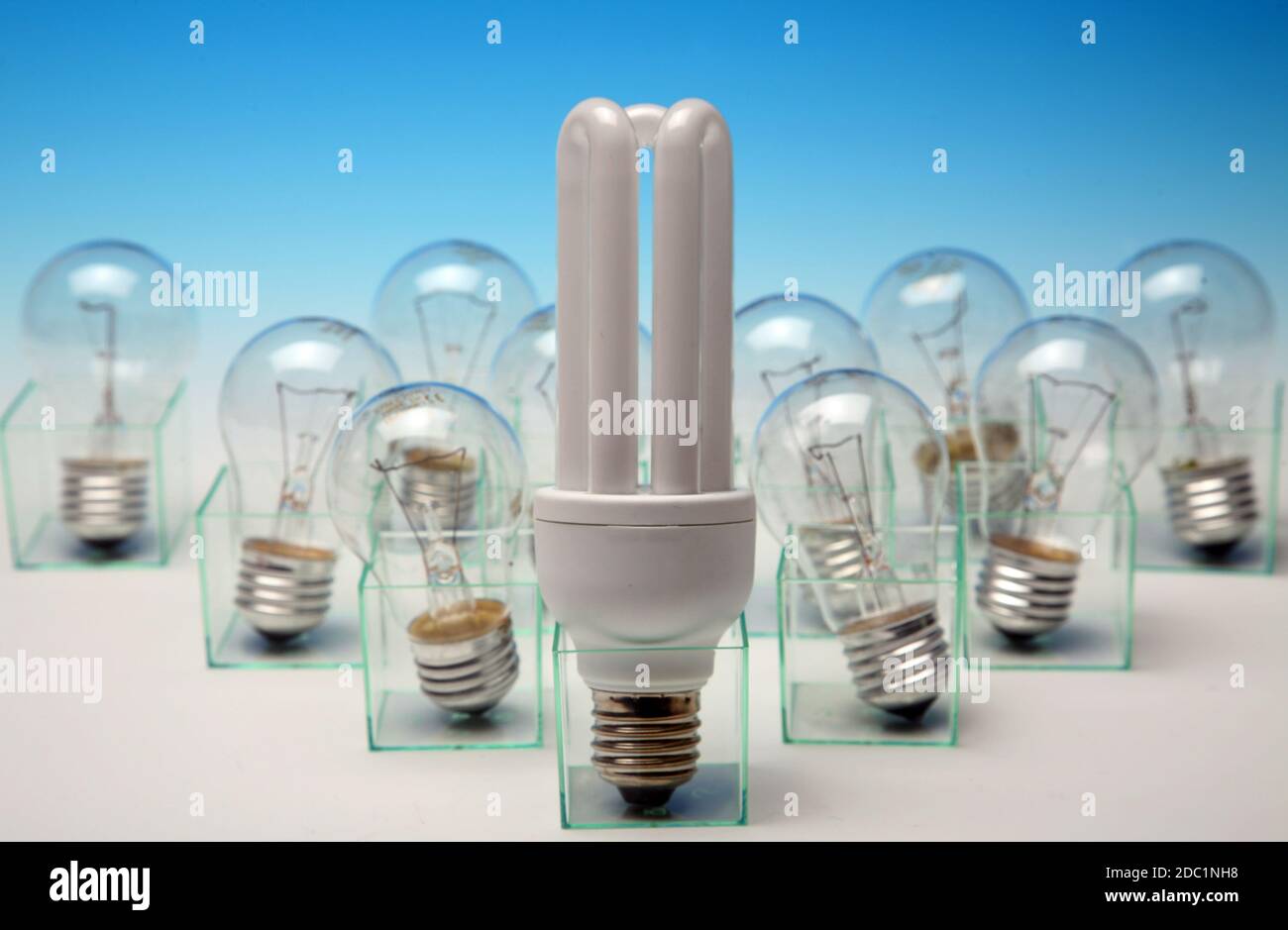 Energyefficient vs normal light bulbs Stock Photo Alamy