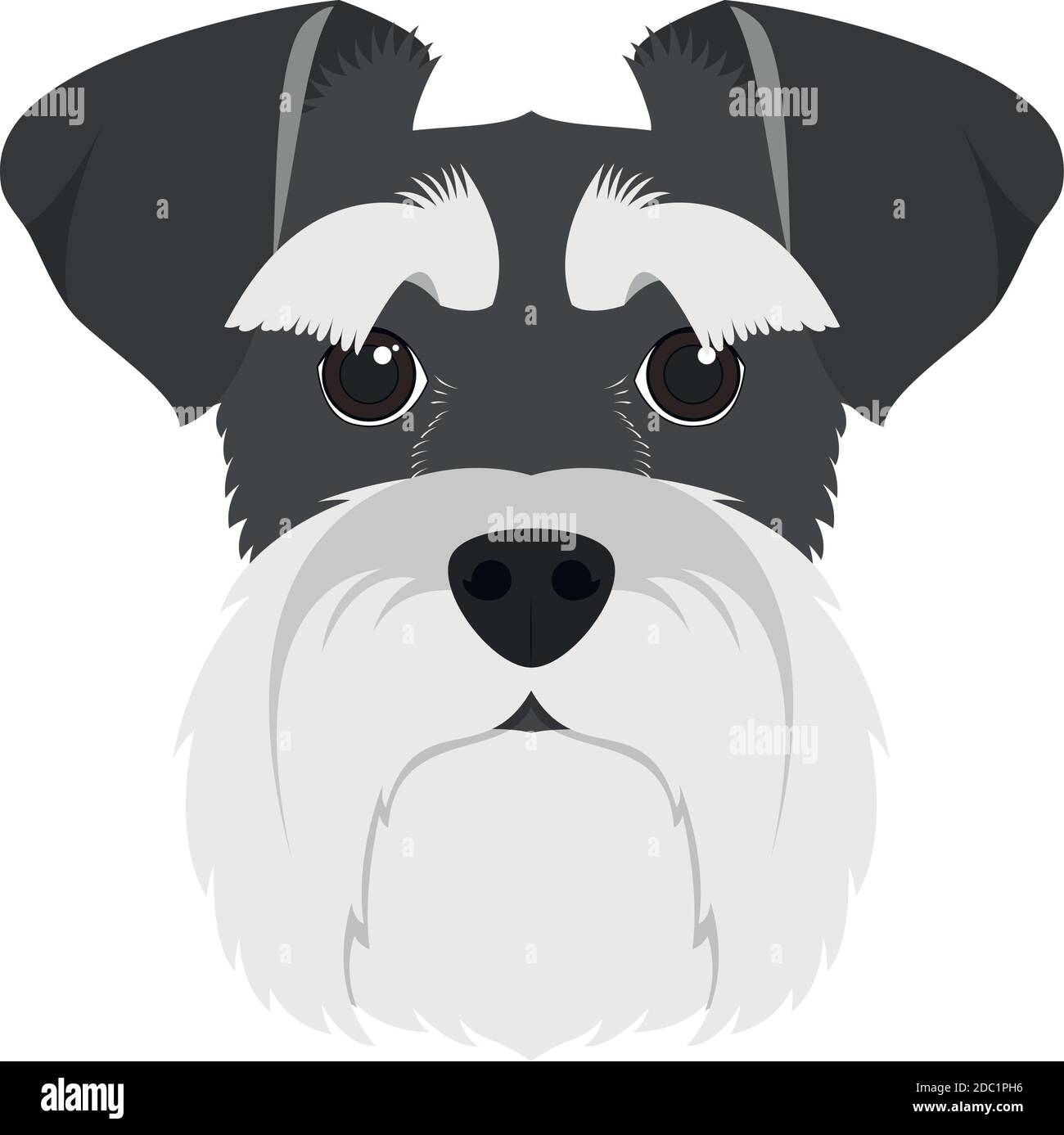 Schnauzer dog isolated on white background vector illustration Stock Vector