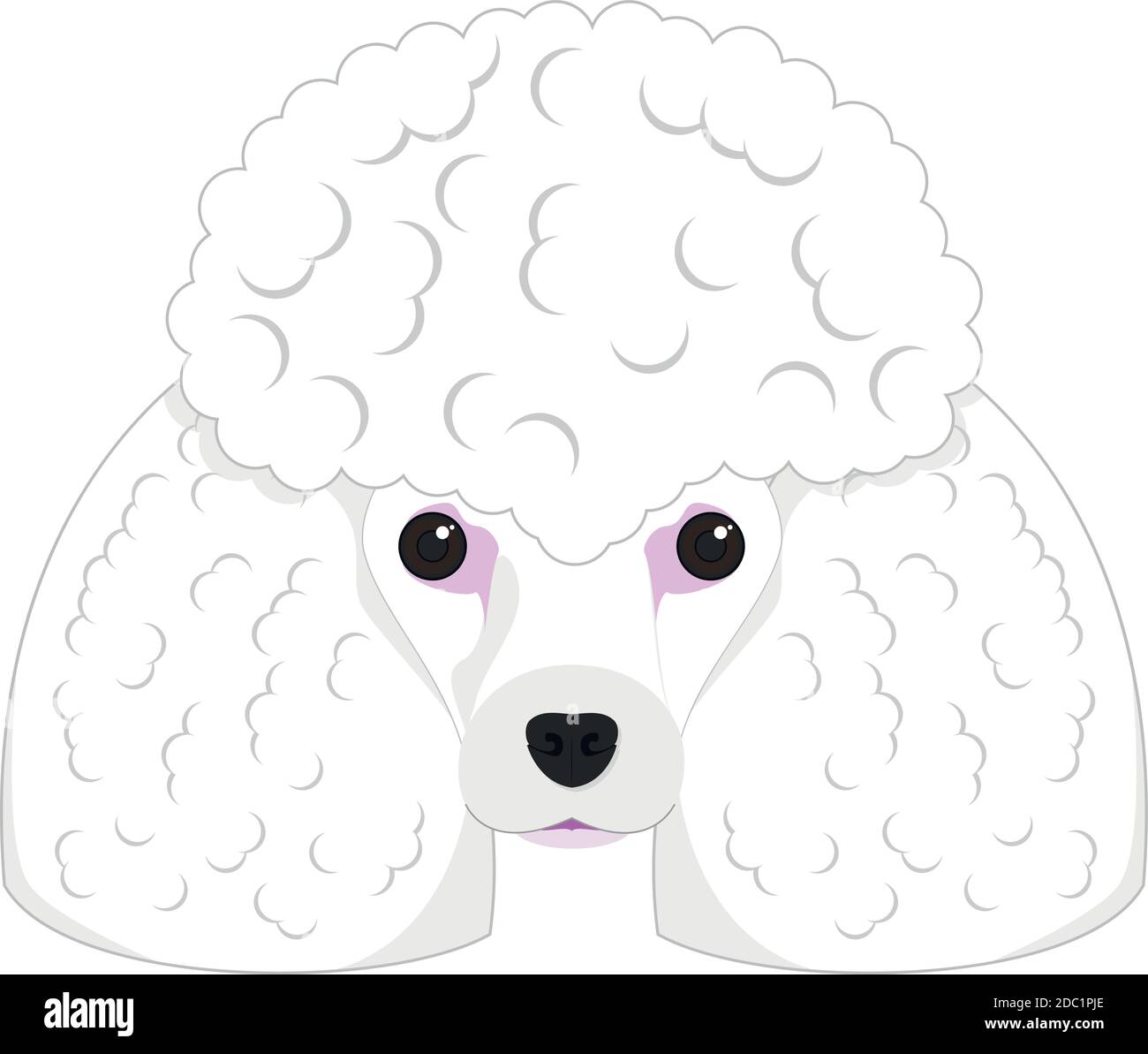 Poodle dog isolated on white background vector illustration Stock ...