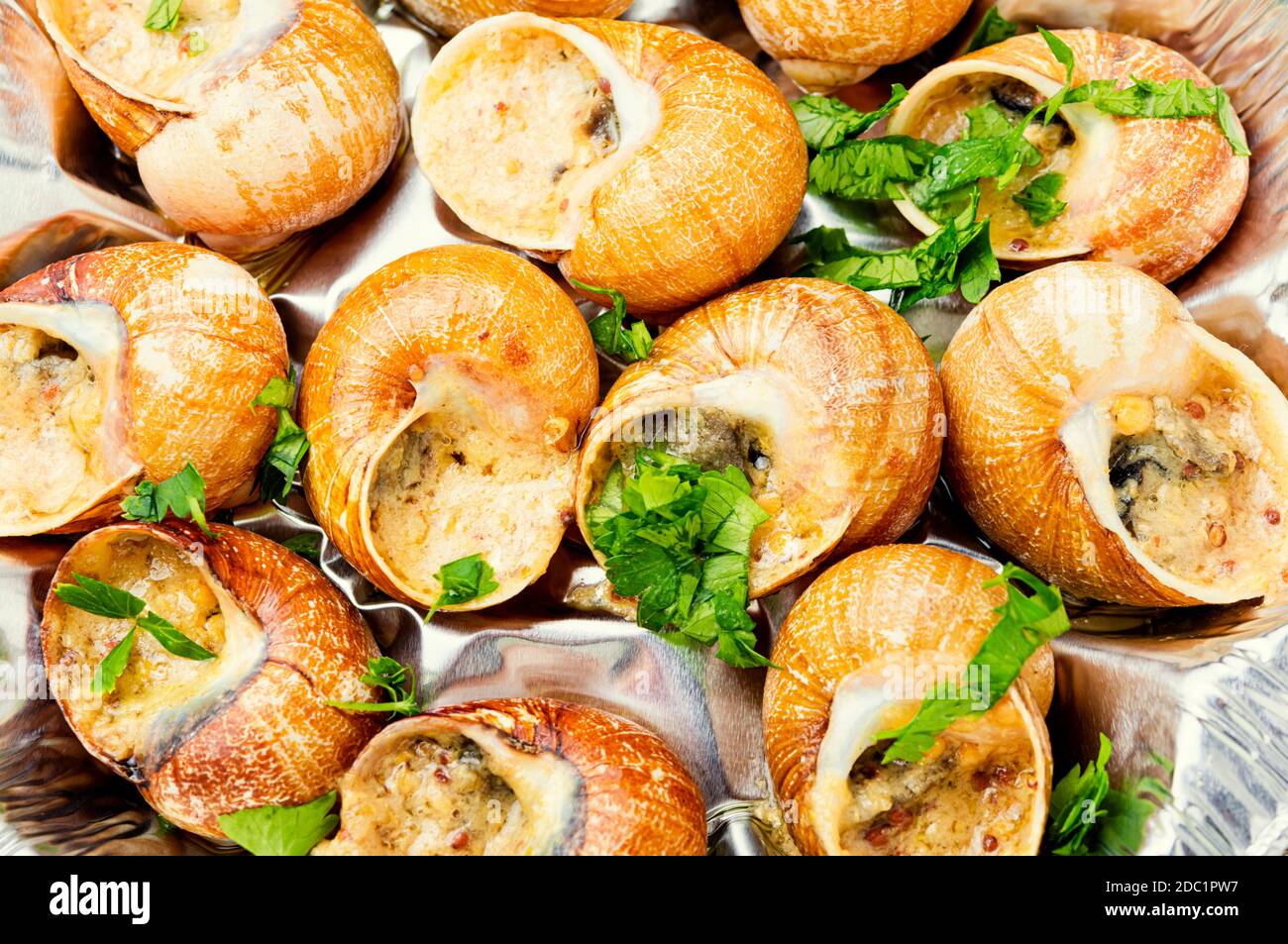 Escargots or snail with garlic butter and lime.Food background Stock