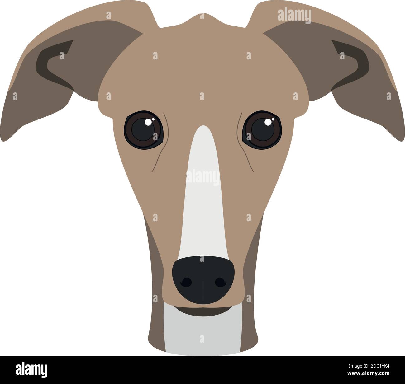 Greyhound dog cartoon illustration hi-res stock photography and images -  Alamy