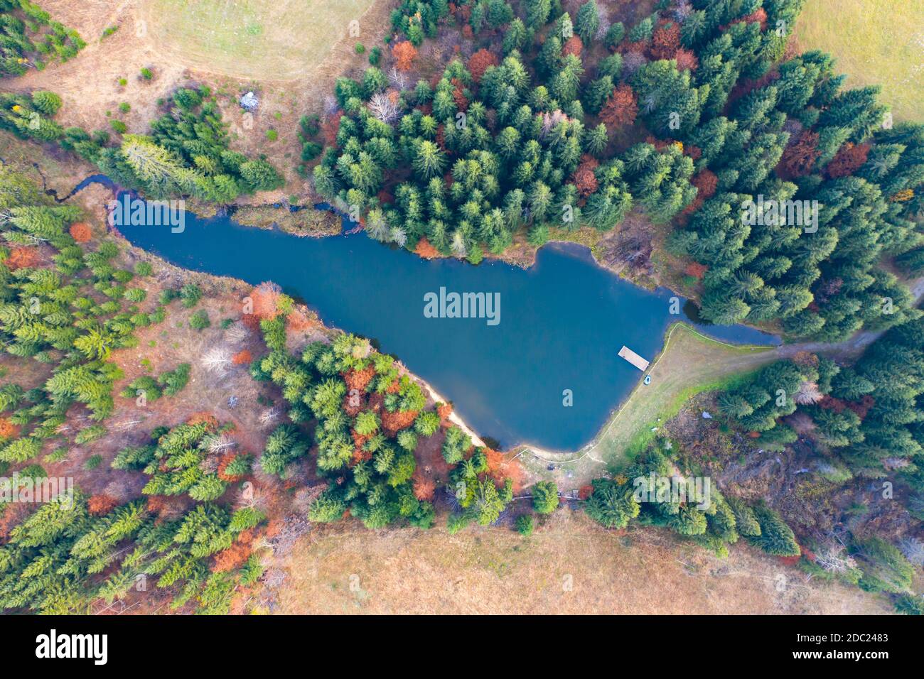 Small lake in autumn pine forest - aerial view Stock Photo - Alamy