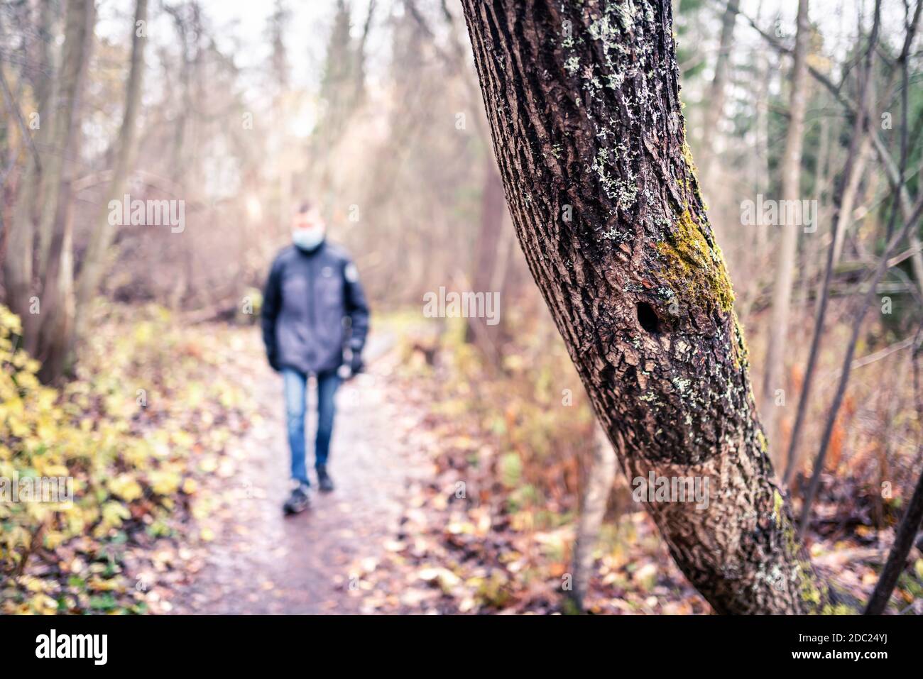 Corona depression, anxiety, loneliness and social distancing concept. Lonely sad man walking in forest alone during coronavirus isolation. Stock Photo