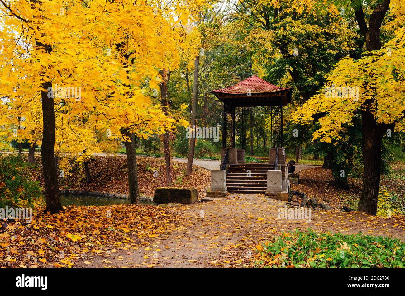 Autumn landscape in a park with gazebo. Cloudy day. Maples with yellow ...