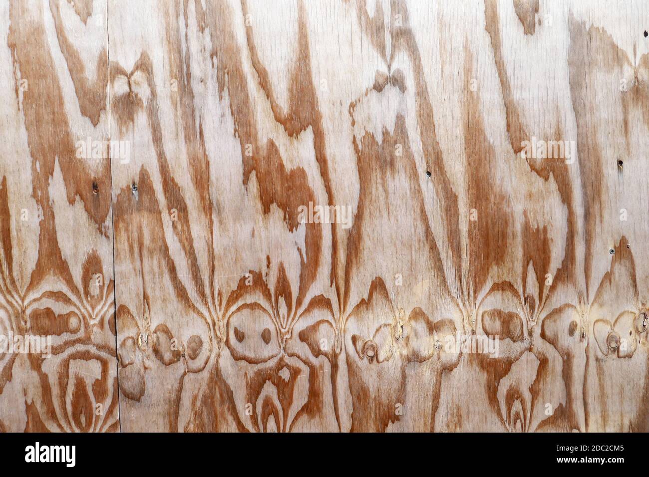 Wood veneer Stock Photo