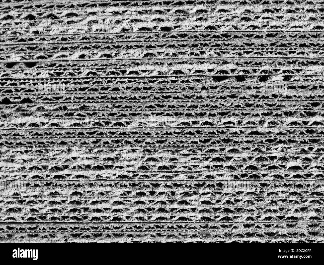 off white light grey corrugated cardboard texture useful as a background Stock Photo