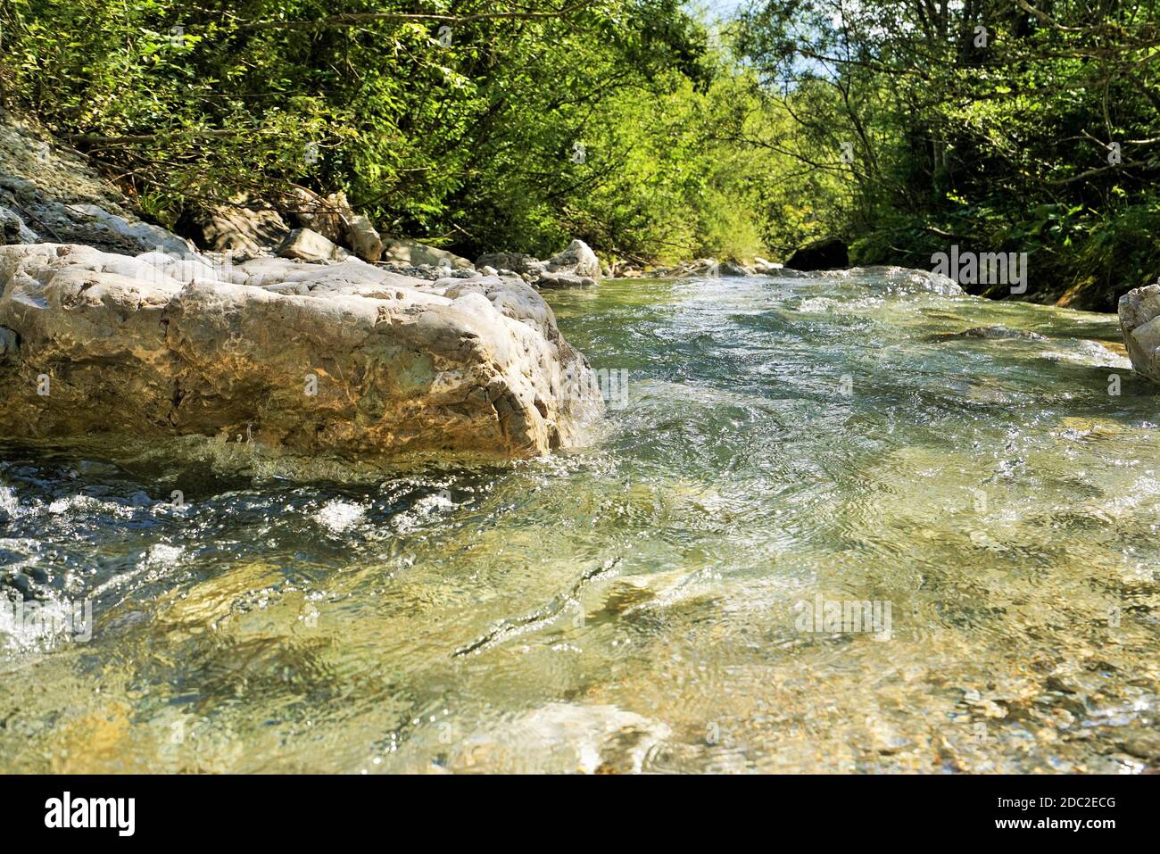River in the Alps in drinking water quality Stock Photo