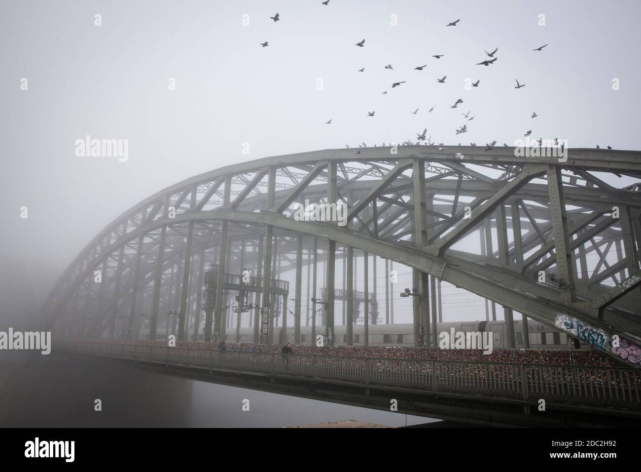 the Hohenzollern bridge over the river Rhine in the fog, pigeons, Cologne, Germany.  die Hohenzollernbruecke ueber den Rhein im Nebel, Tauben, Koeln, Stock Photo