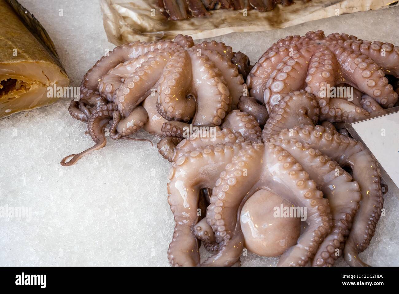 Fresh octopus for sale at a market in Venice, Italy Stock Photo
