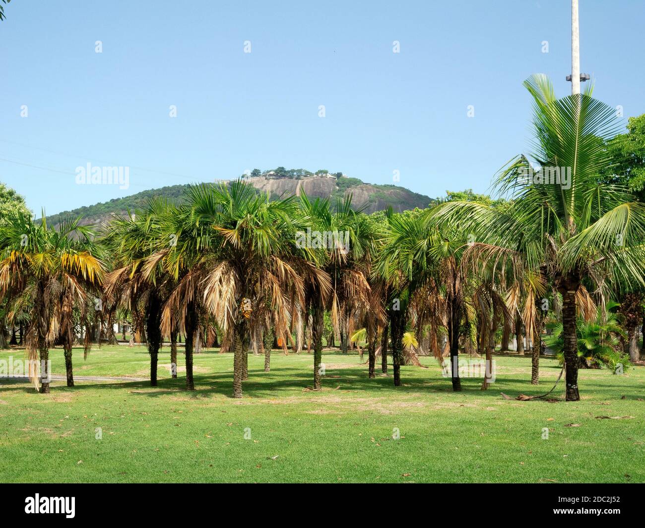 Rio de janeiro flamengo park hi res stock photography and images Alamy
