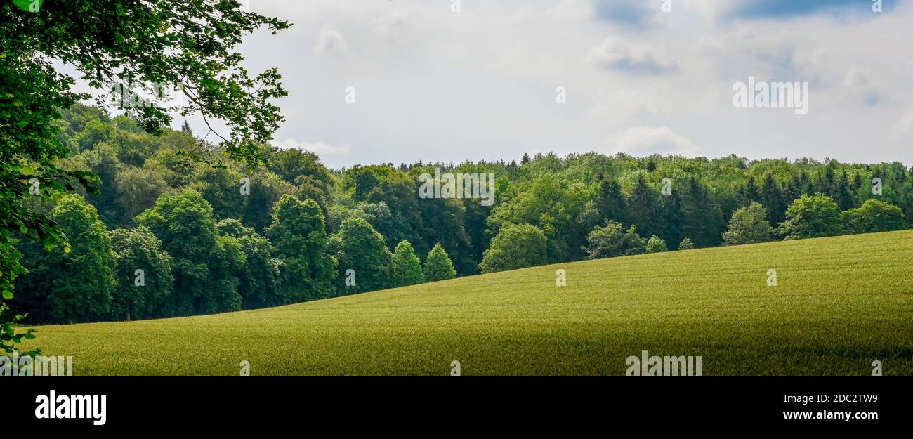 Beautiful view of unspoilt British countryside. Stock Photo