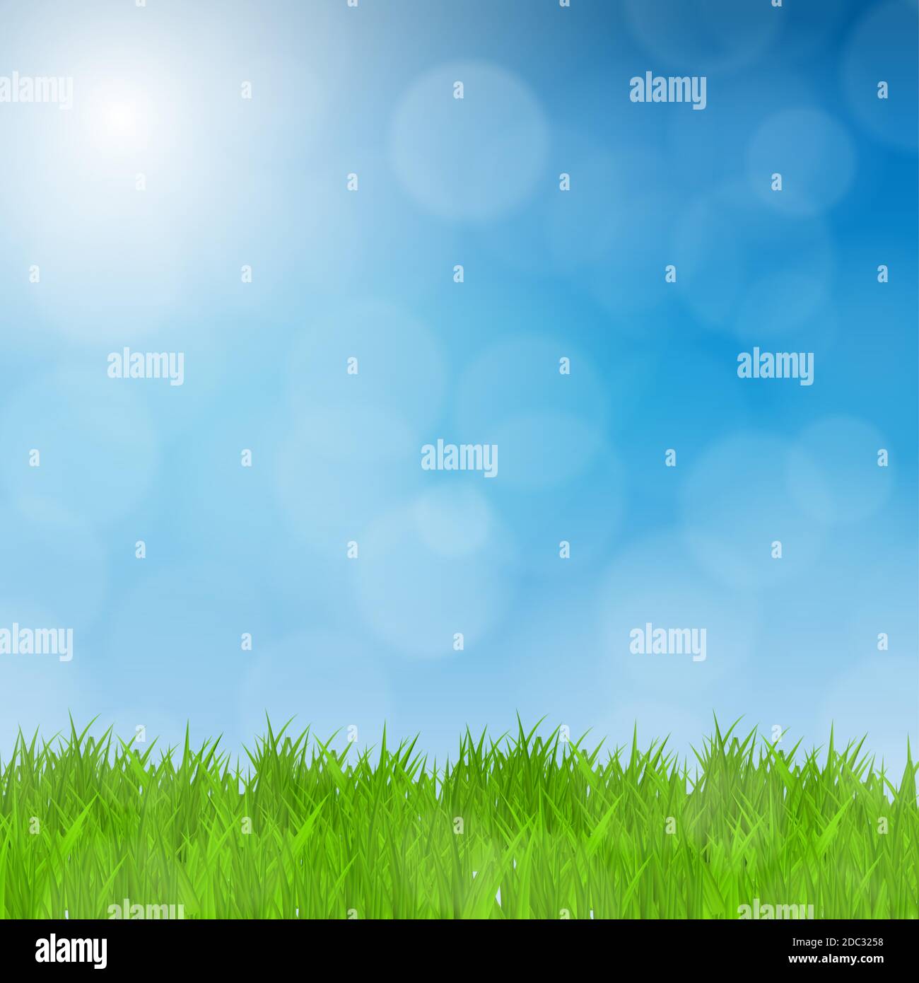 Green Grass Field and Blue Sky Natural Background. Vector Illustration ...