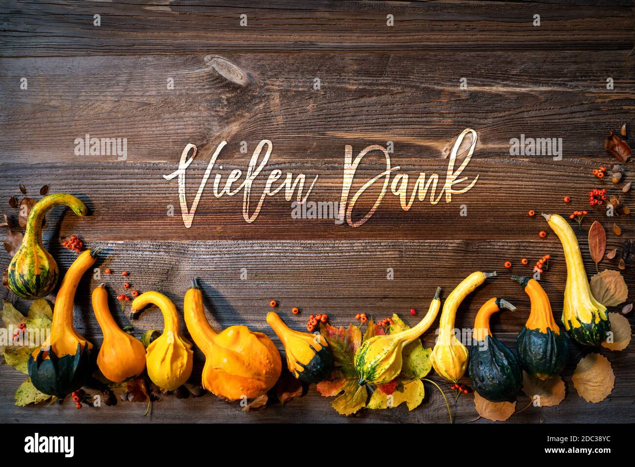 Colorful Yellow And Orange Pumpkins As Autumn Season Decoration With German Text Vielen Dank Means Thank You. Brown Wooden Rustic Vintage Background Stock Photo