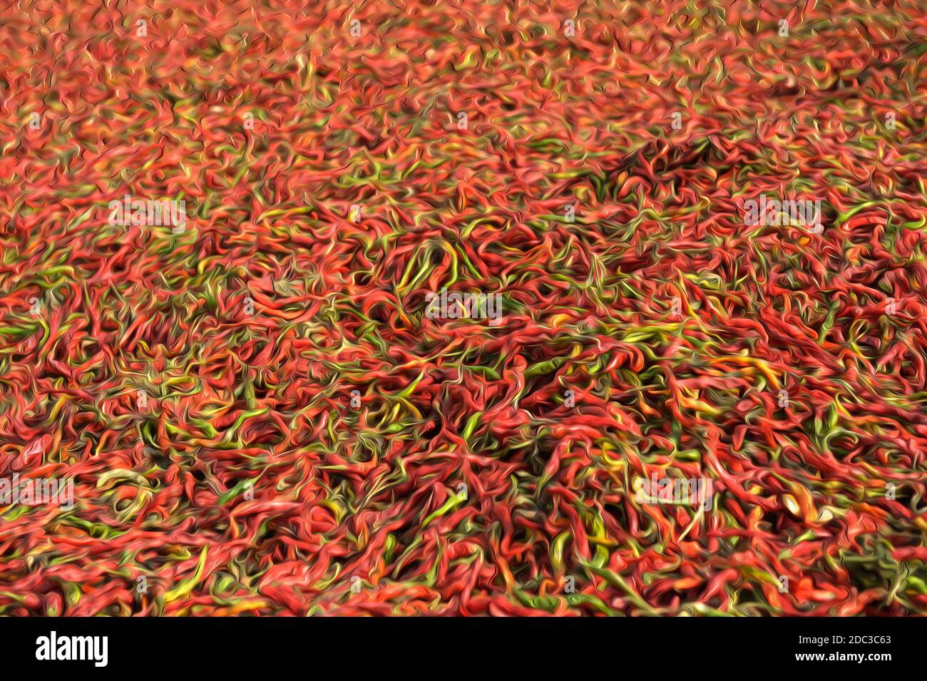 Looking like liquified abstract texture inspirited by a stack of drying red hot chili peppers. Red and green pattern background related to food & ingr Stock Photo