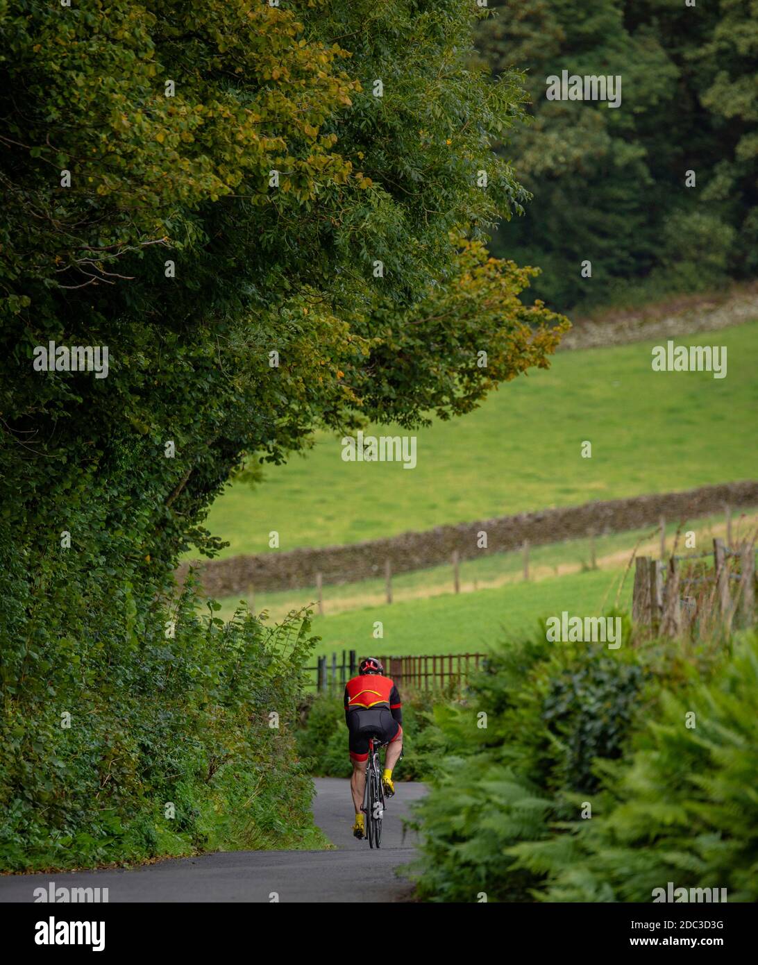 A male cyclist riding along the lanes in Coniston, English Lake District, UK. Stock Photo
