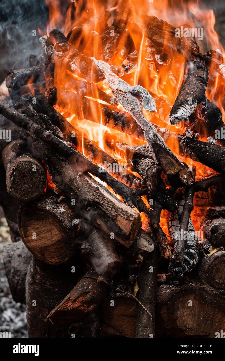 Fire burning tree branches, ember glowing Stock Photo Alamy