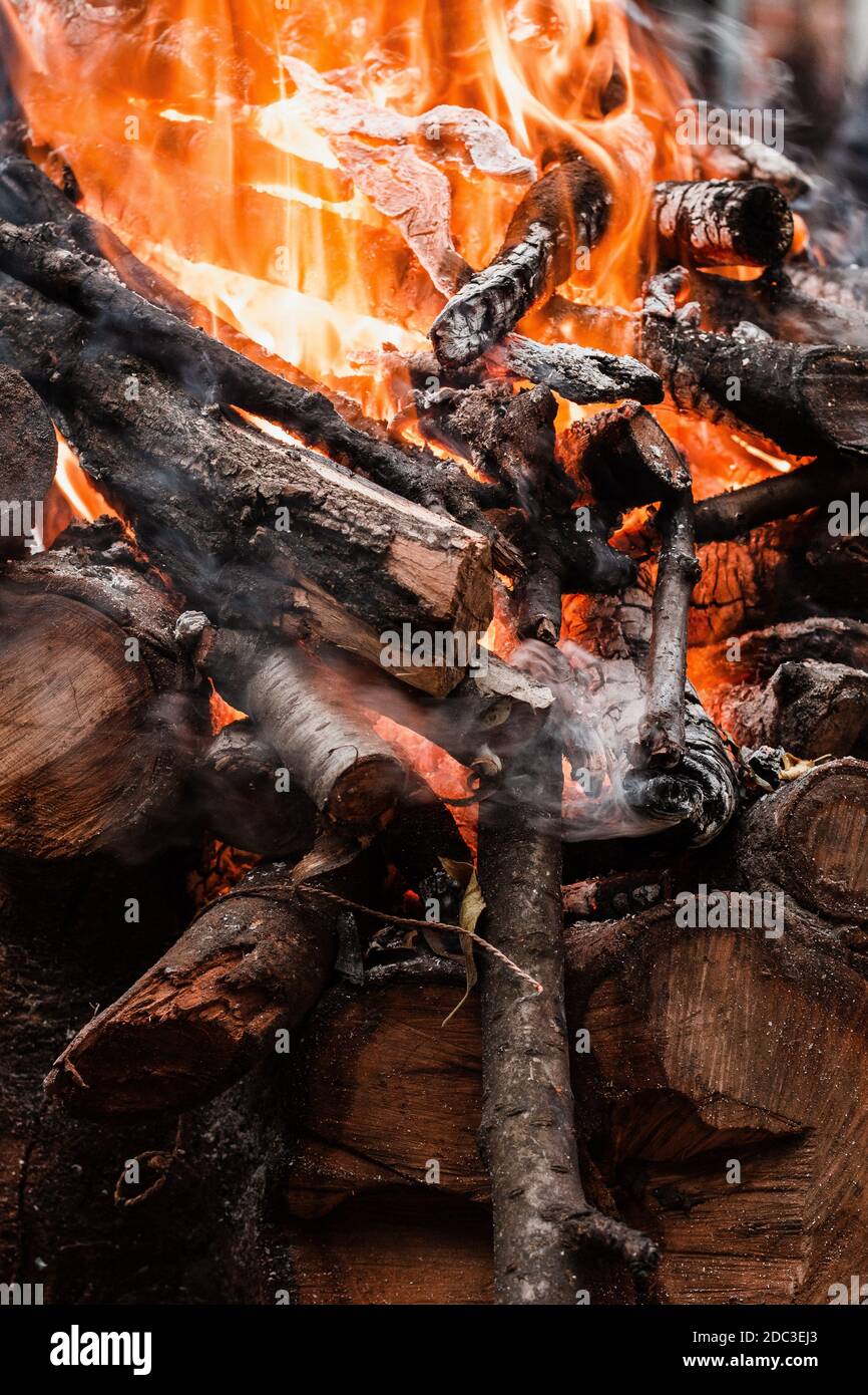 Fire burning tree branches, ember glowing Stock Photo Alamy