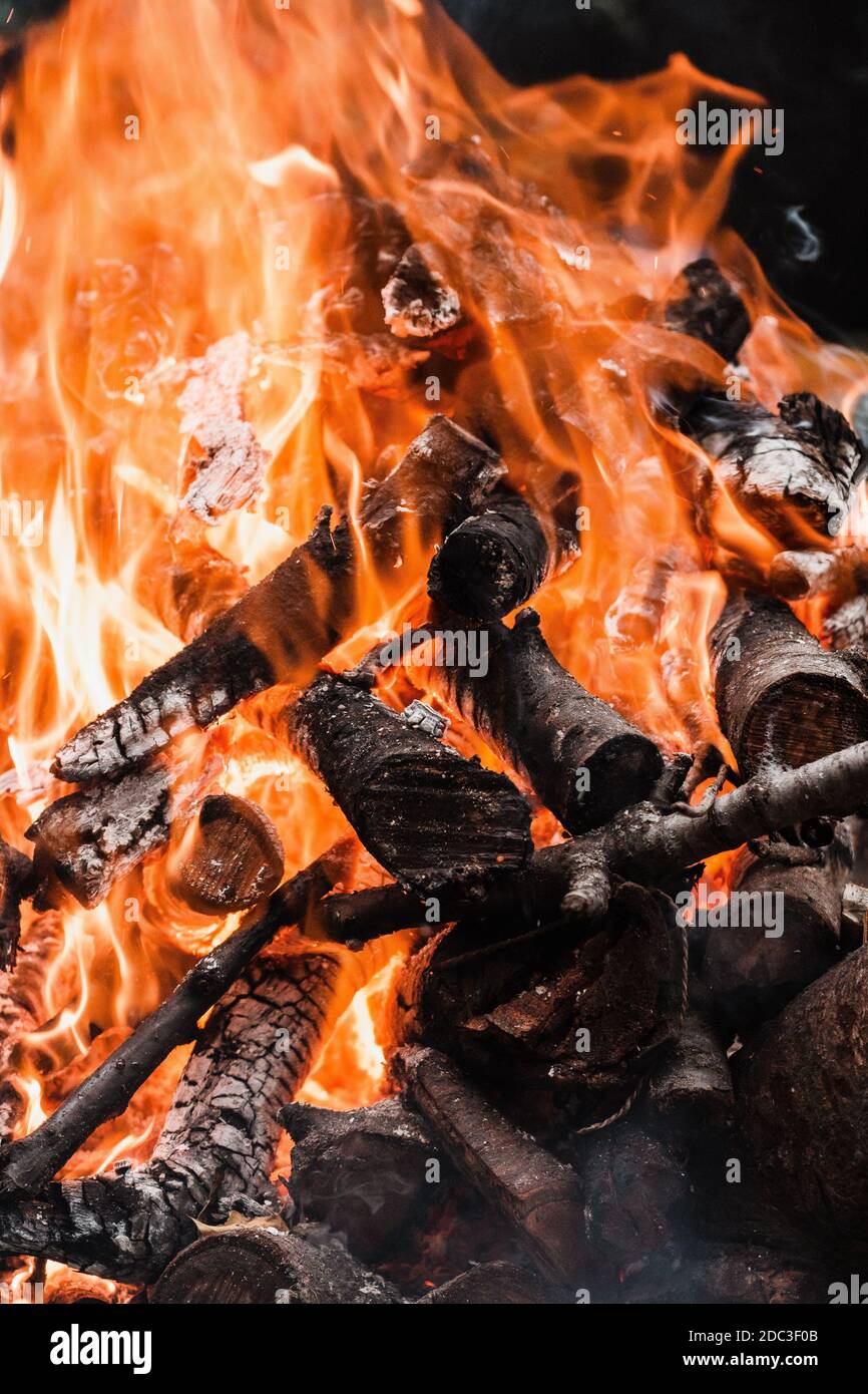 Fire burning tree branches, ember glowing Stock Photo Alamy