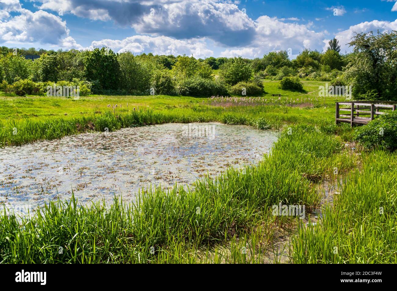 The landscaped 'Engine Pond', the only surviving remnant of the mid