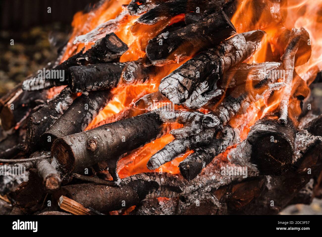Fire burning tree branches, ember glowing Stock Photo Alamy