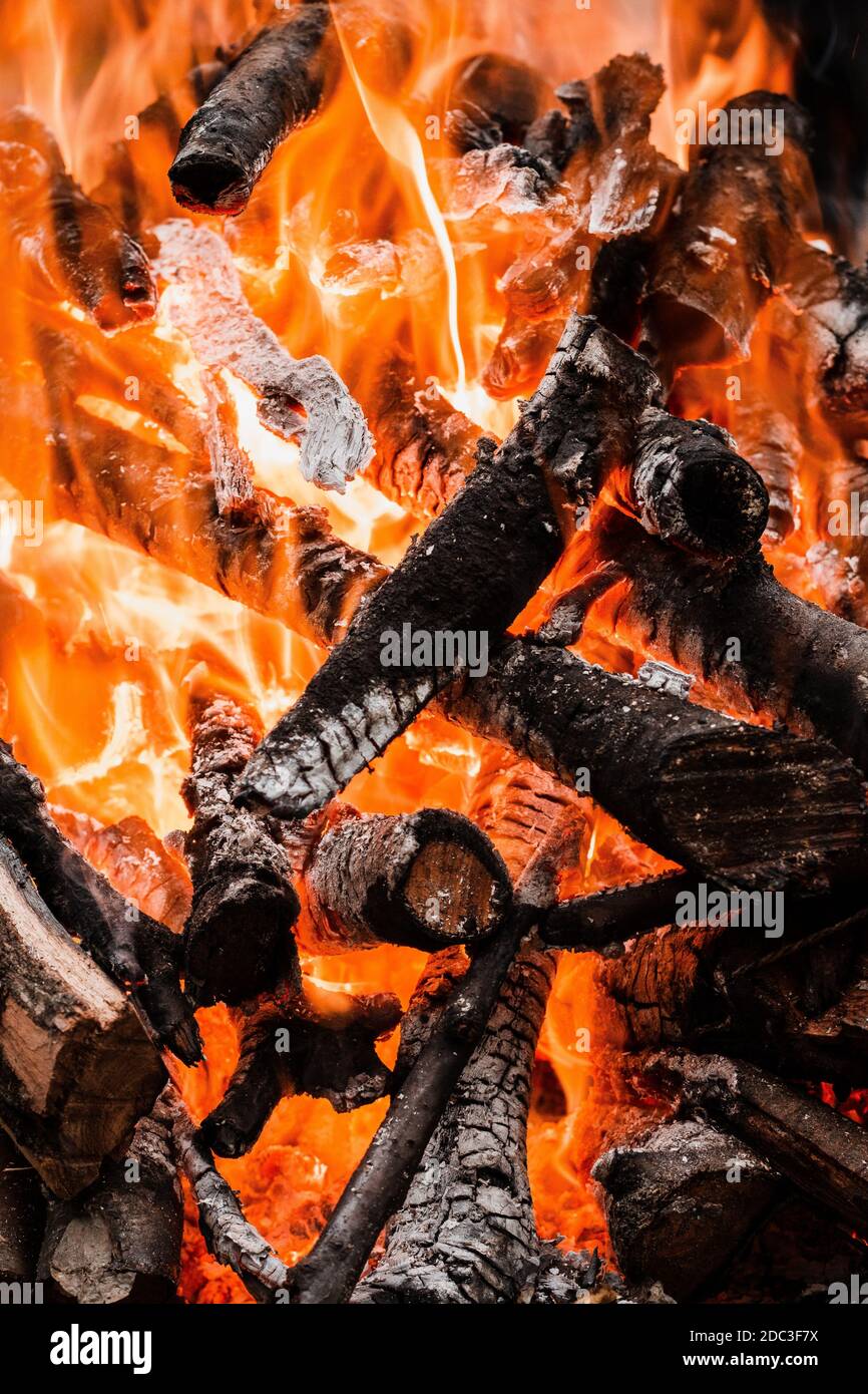 Fire burning tree branches, ember glowing Stock Photo Alamy
