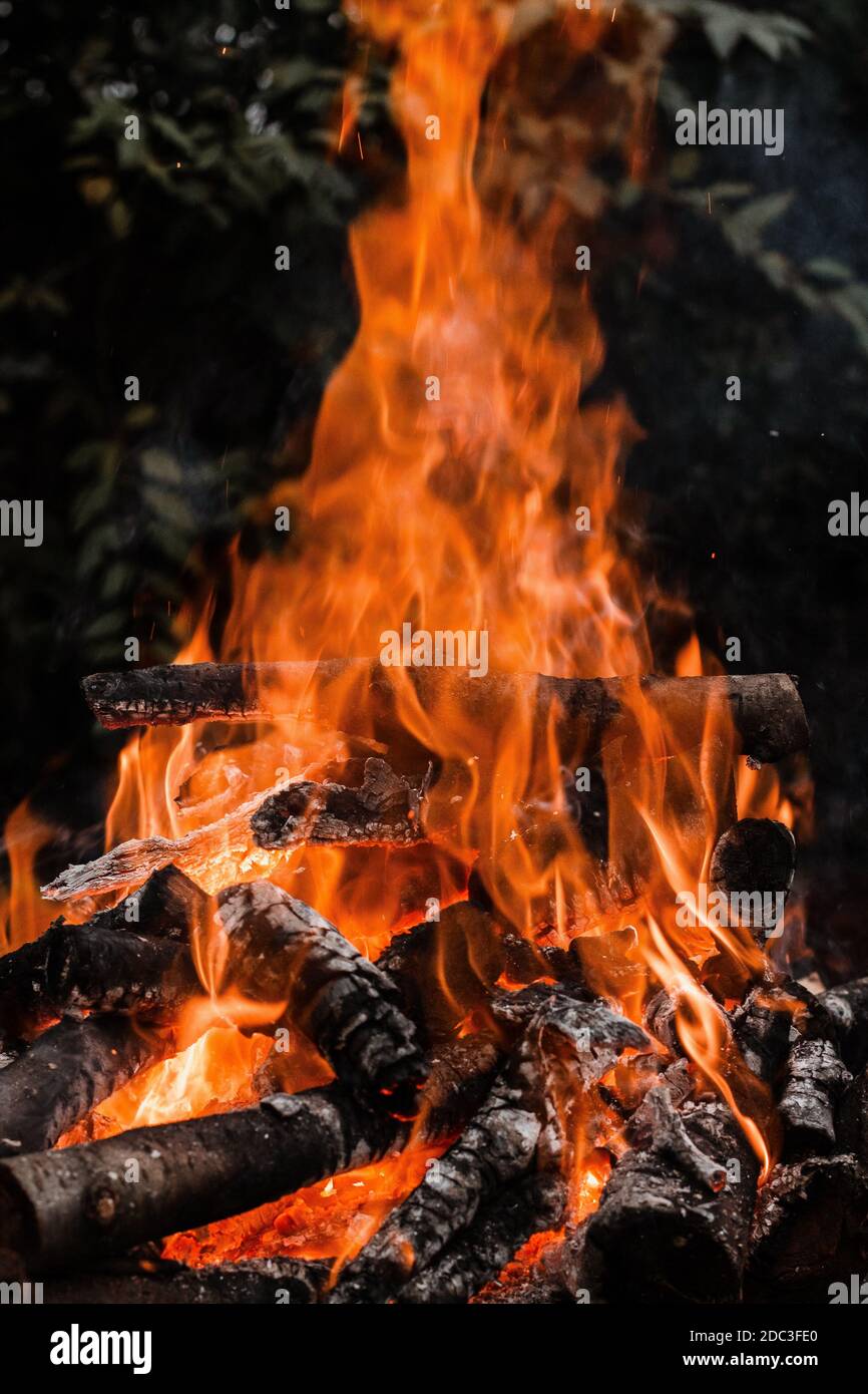 Fire burning tree branches, ember glowing Stock Photo Alamy