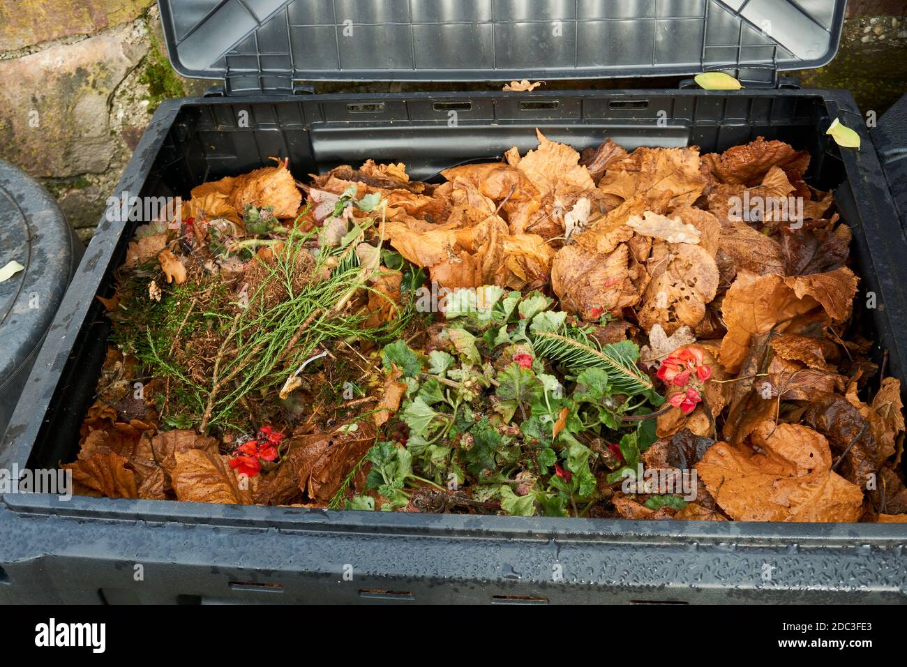 Compost Bin with Food Scraps and Grass Cuttings Stock Photo Alamy