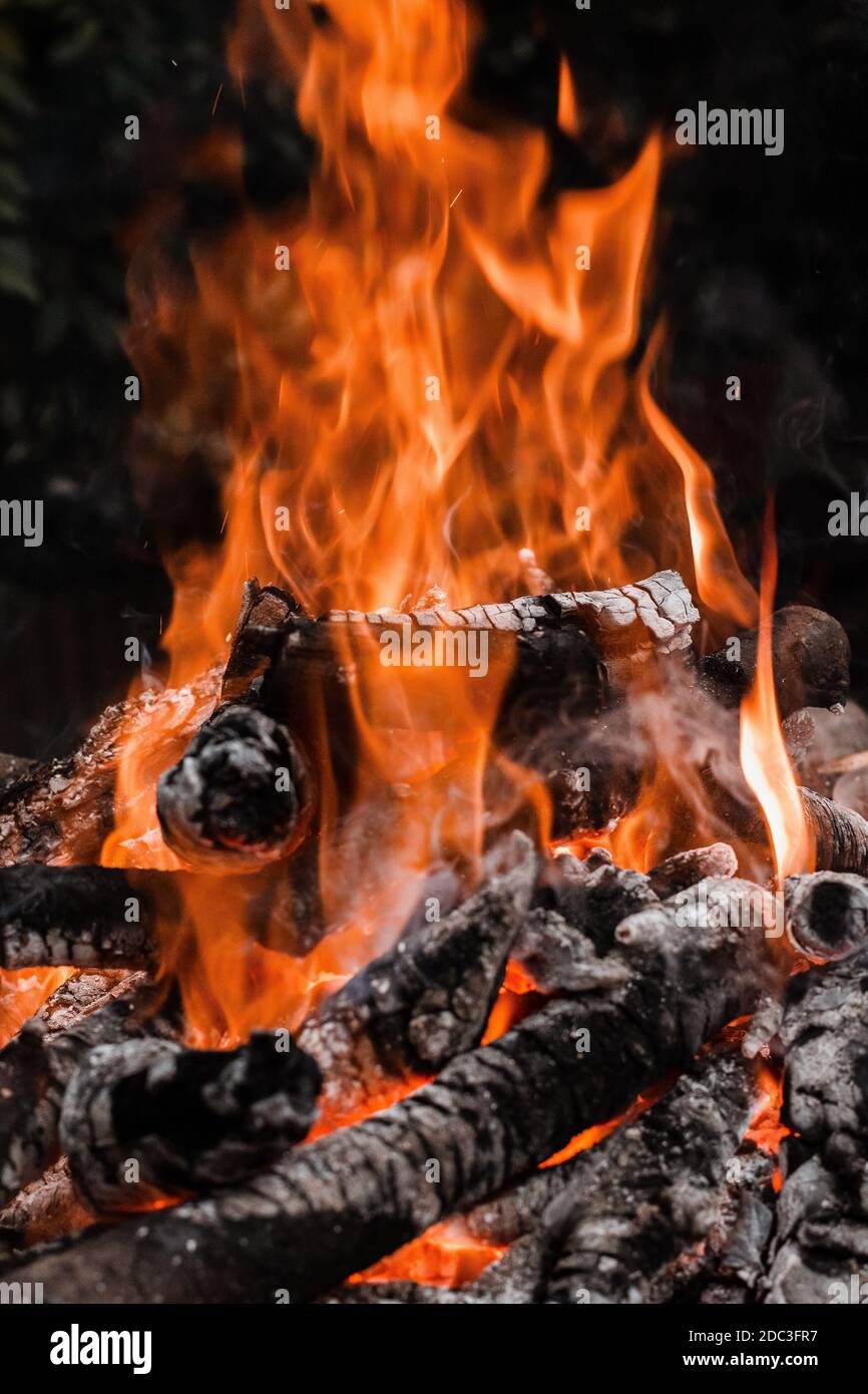 Fire burning tree branches, ember glowing Stock Photo Alamy