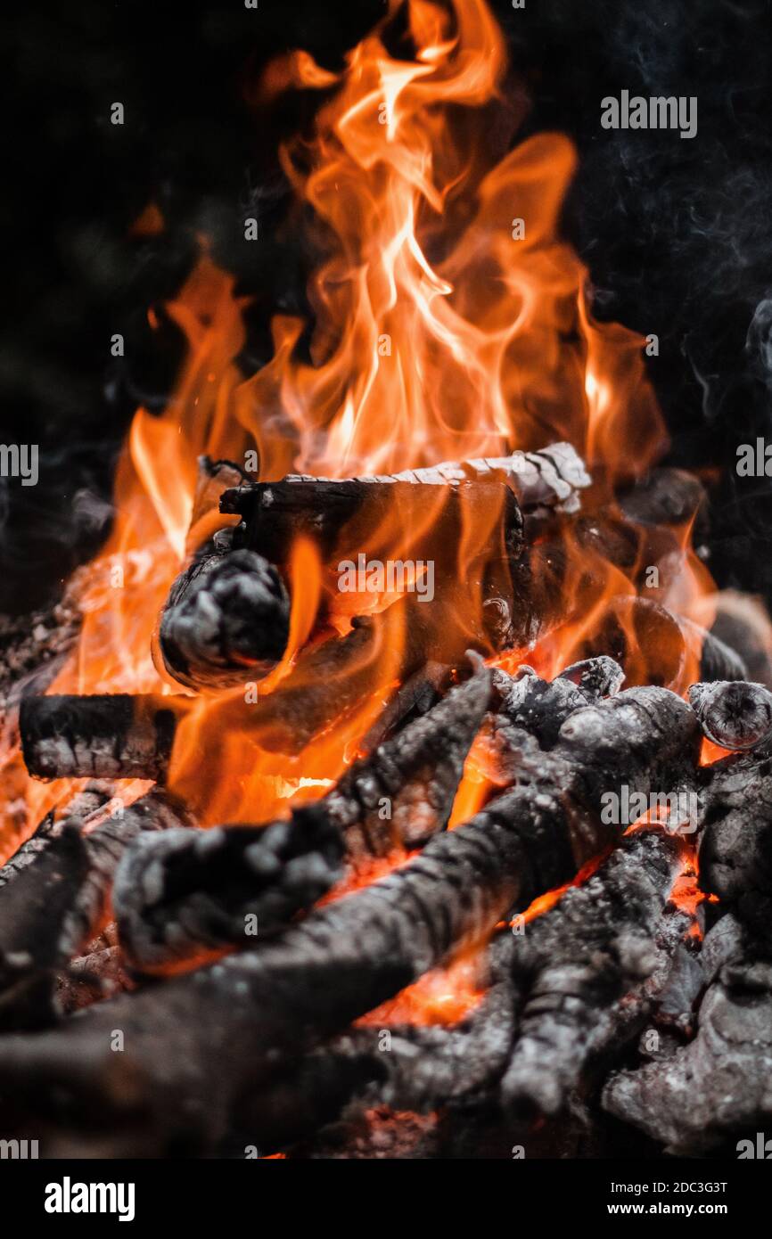 Fire burning tree branches, ember glowing Stock Photo Alamy