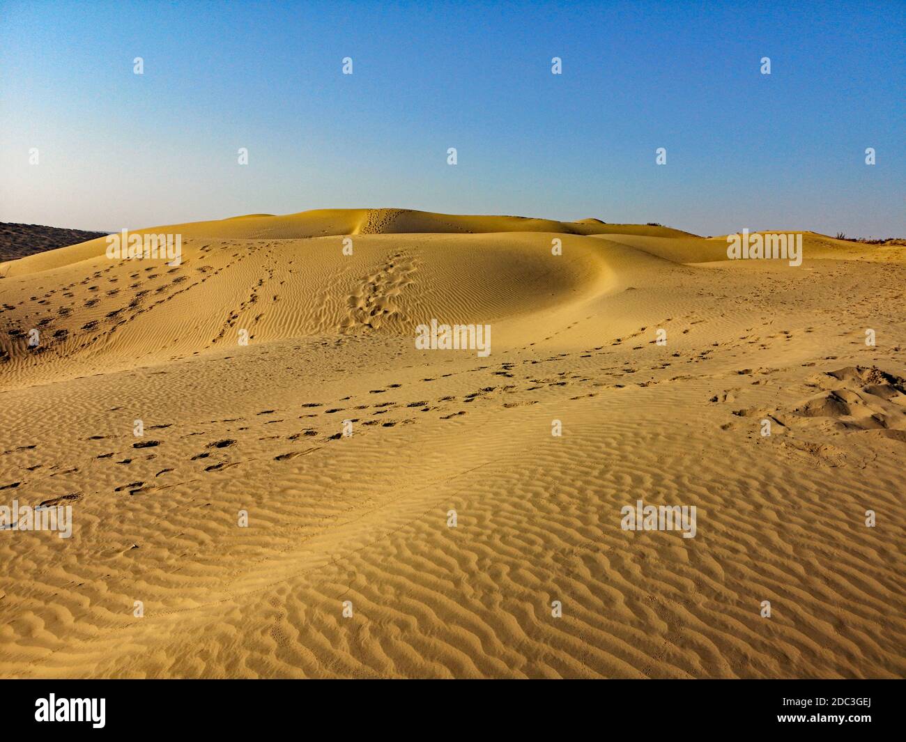 Thar desert in Rajasthan, India Stock Photo - Alamy
