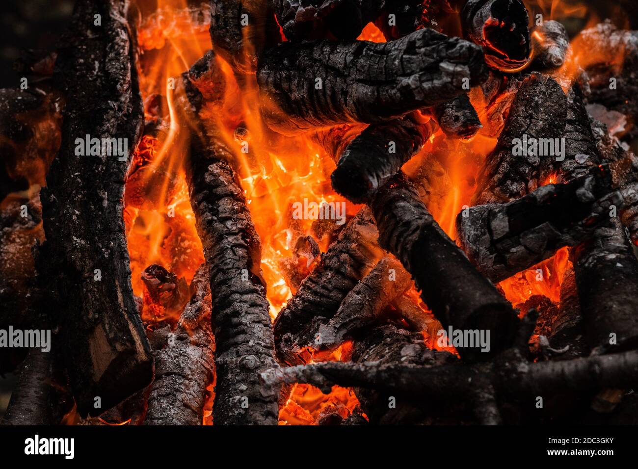 Fire burning tree branches, ember glowing Stock Photo Alamy