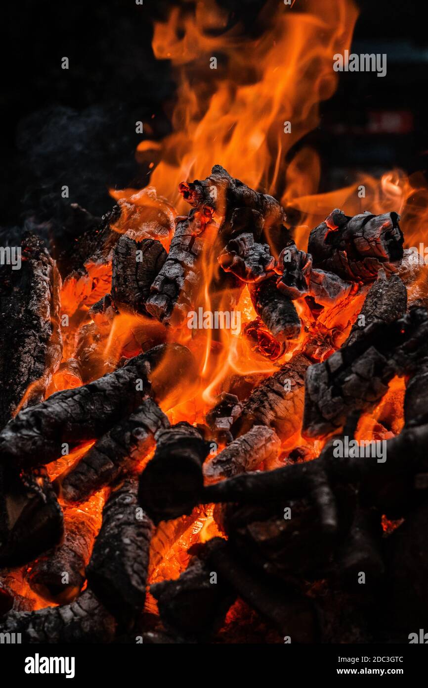 Fire burning tree branches, ember glowing Stock Photo Alamy