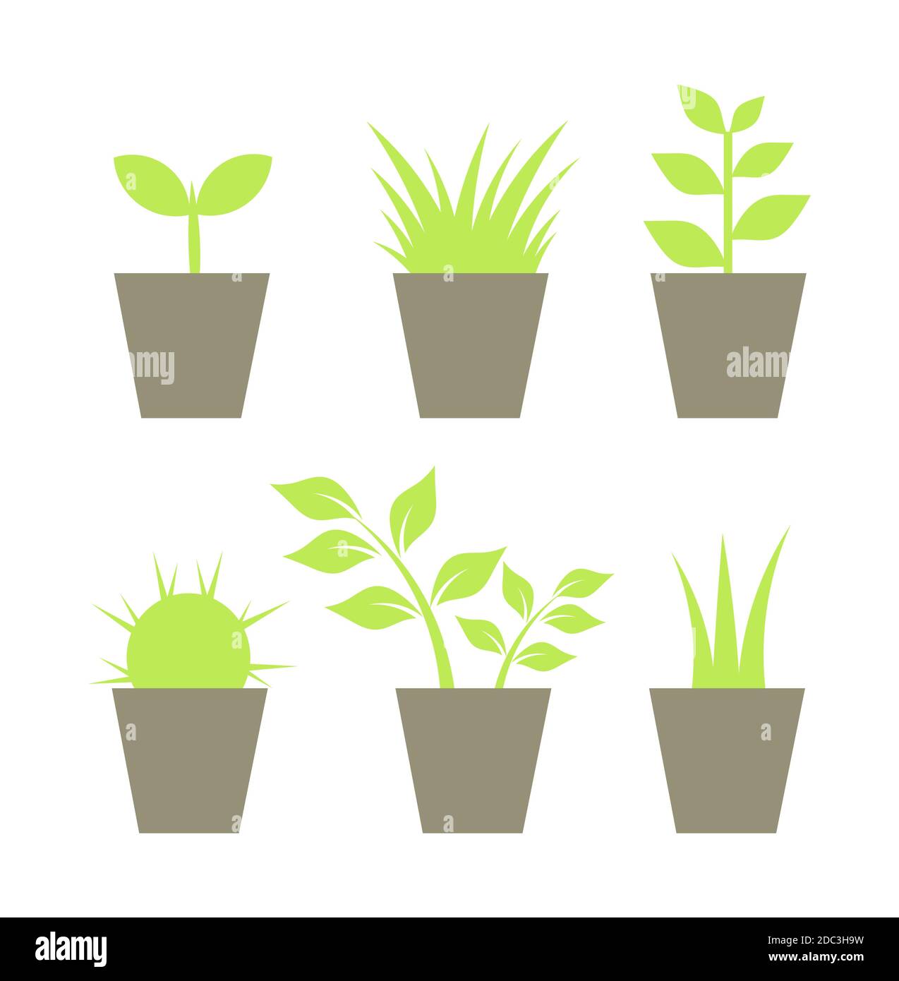 Houseplants in pots collection. Vector illustration Stock Vector Image ...