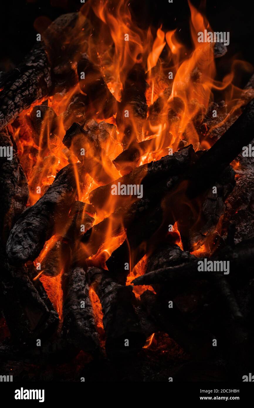 Fire burning tree branches, ember glowing Stock Photo Alamy