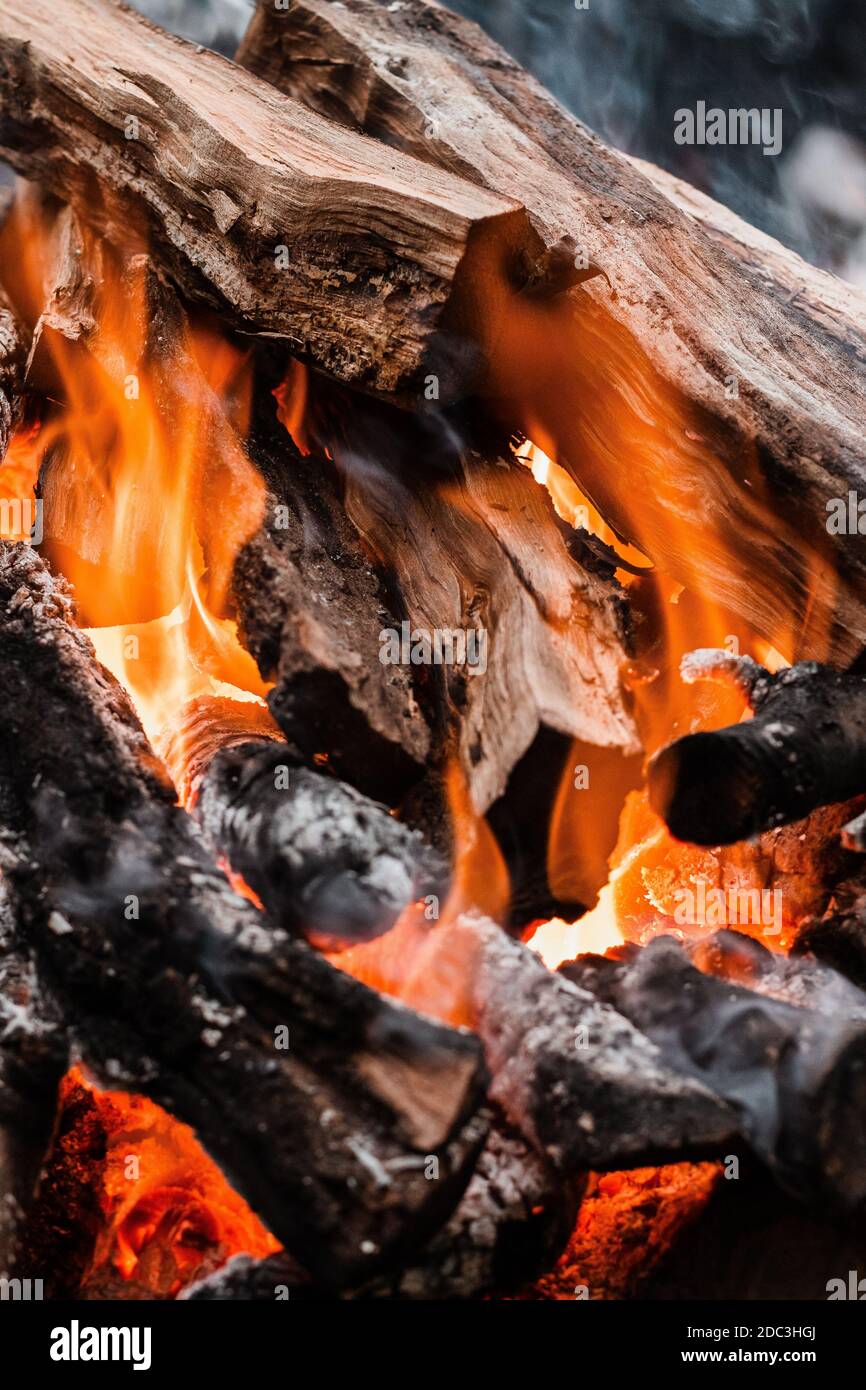 Fire burning tree branches, ember glowing Stock Photo Alamy