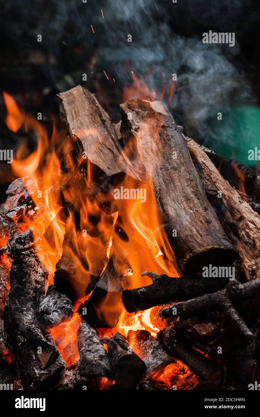 Fire burning tree branches, ember glowing Stock Photo Alamy