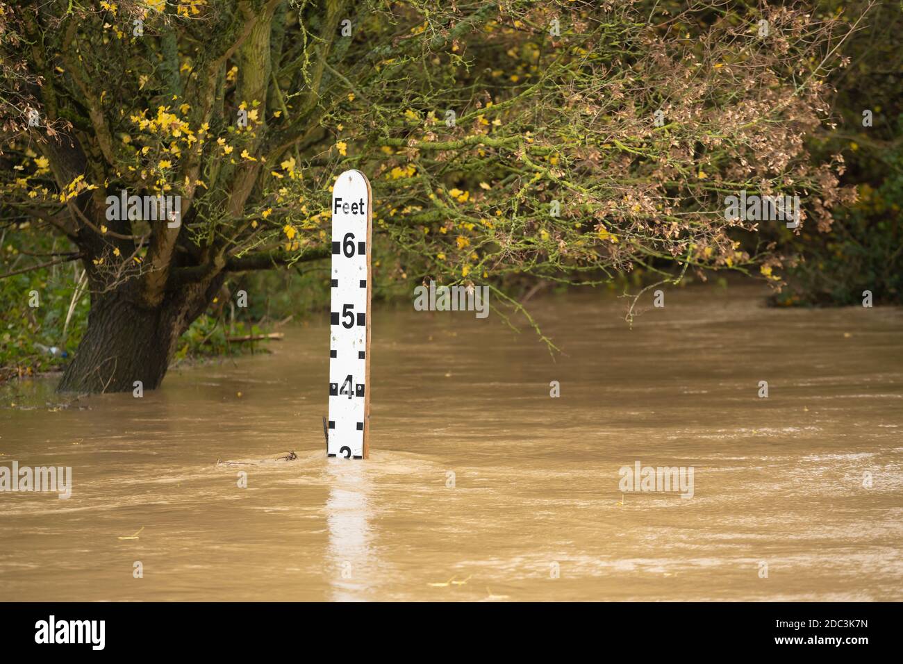 River gauge water level indicator in a flooded river at the ford in Much Hadham, Hertfordshire. UK Stock Photo