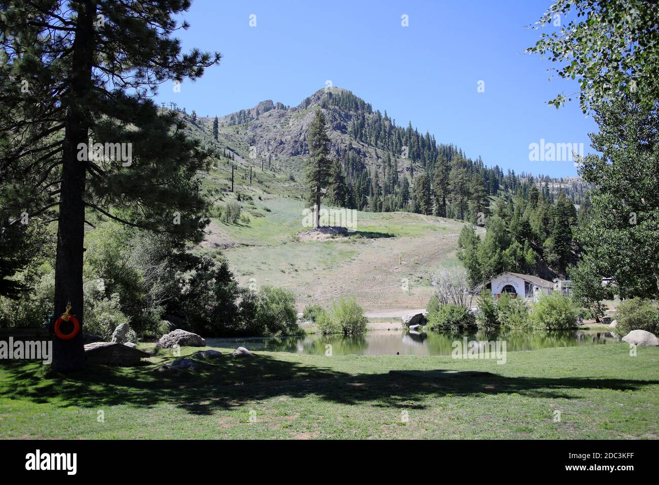 Squaw Valley in the summer Stock Photo Alamy