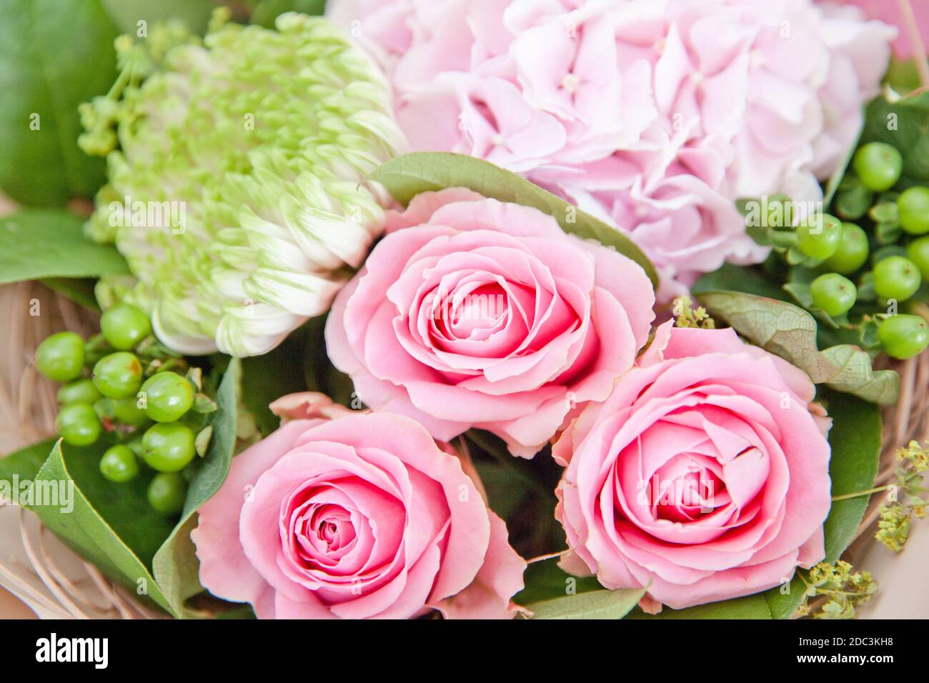 White roses green hydrangeas hi-res stock photography and images - Alamy