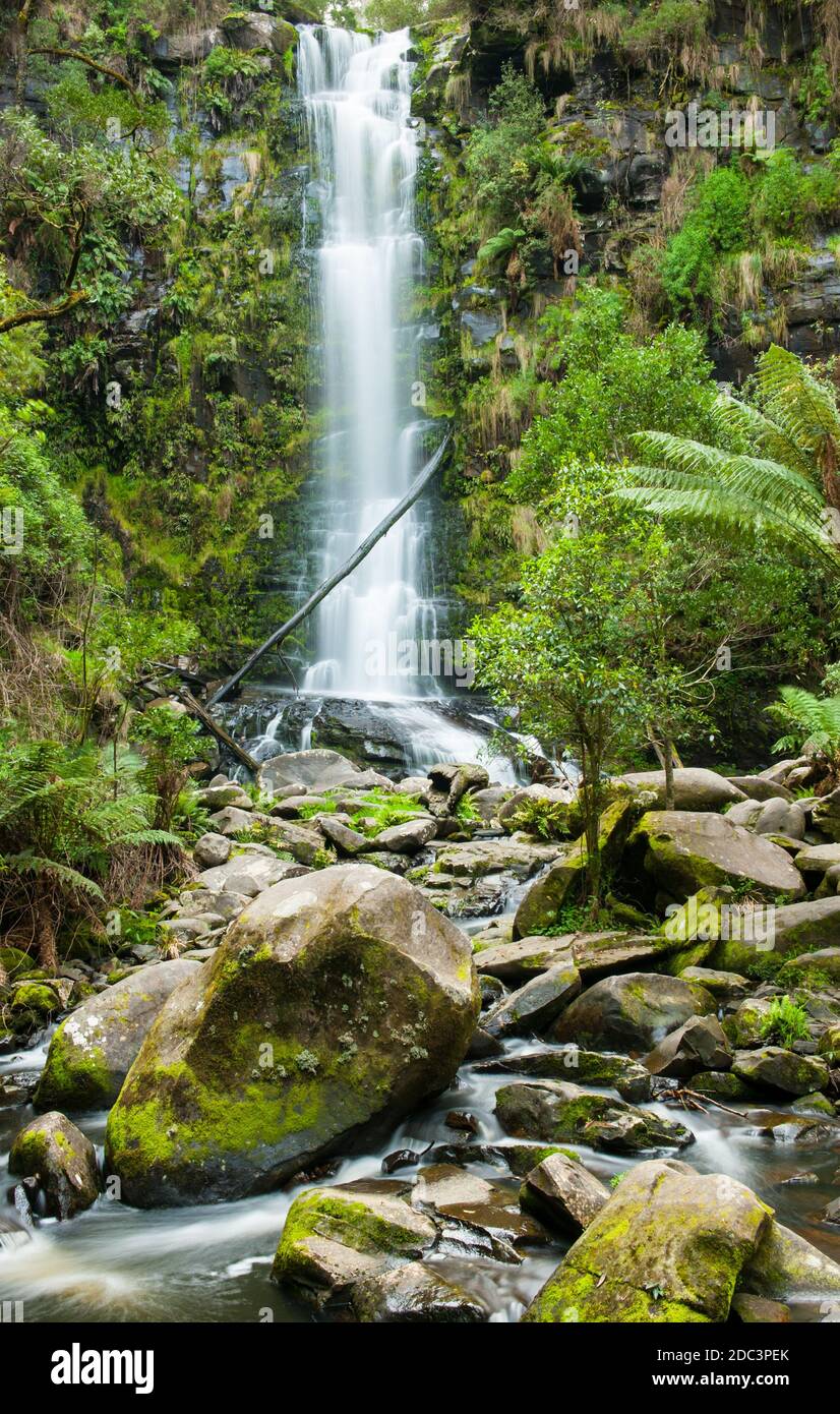 Erskine Falls are located near the Great Ocean road on the Southern Coast of state Victoria Erskine Falls are located near the Great Ocean road on the Southern Coast of state Victoria