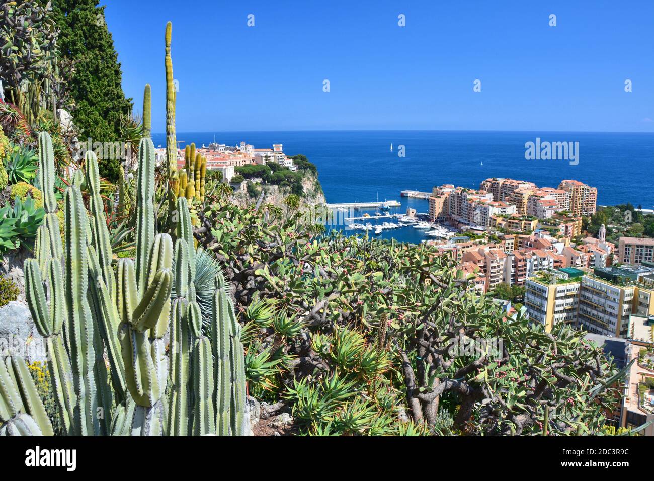 Scenic view on Monaco, Fontvieille from beautiful exotic garden. Stock Photo