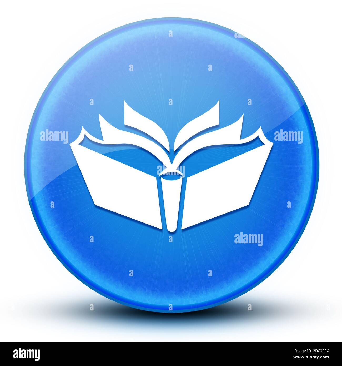 Translation eyeball glossy blue round button abstract illustration ...