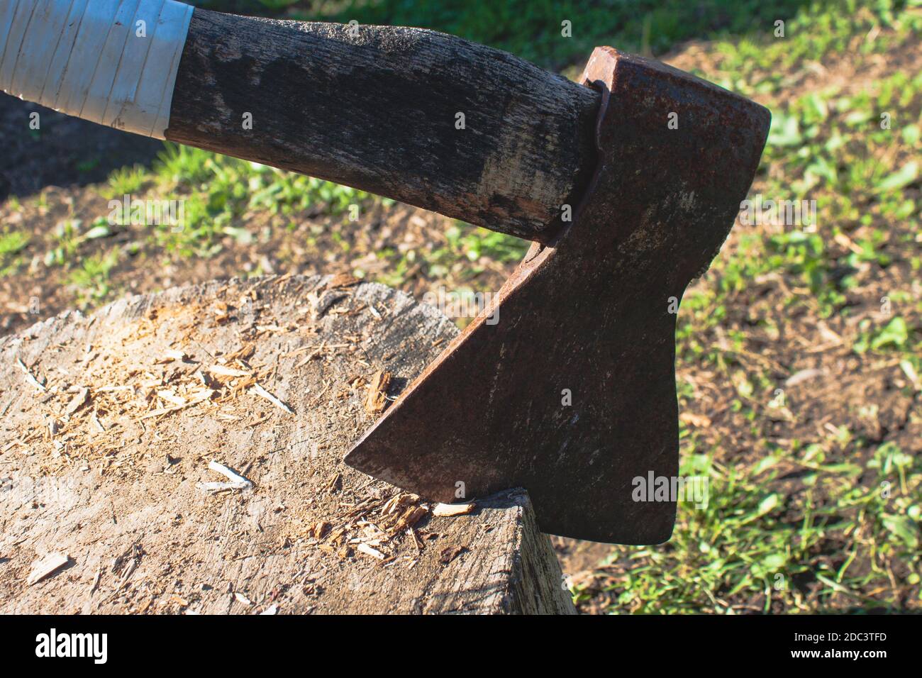 A vintage ax with white handle stuck in stump Stock Photo