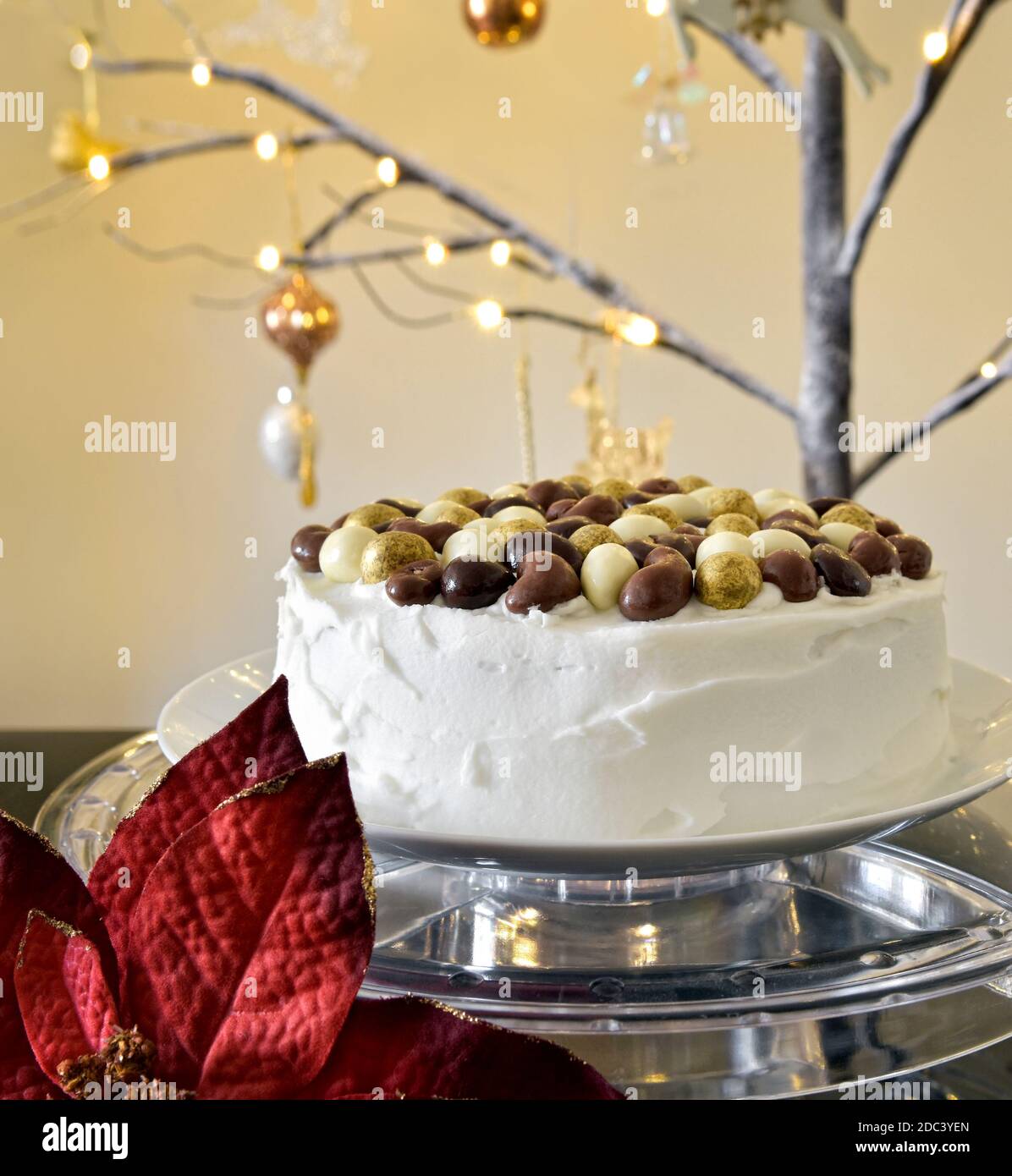 Iced Christmas cake with chocolate nuts on top on a clear stand with a