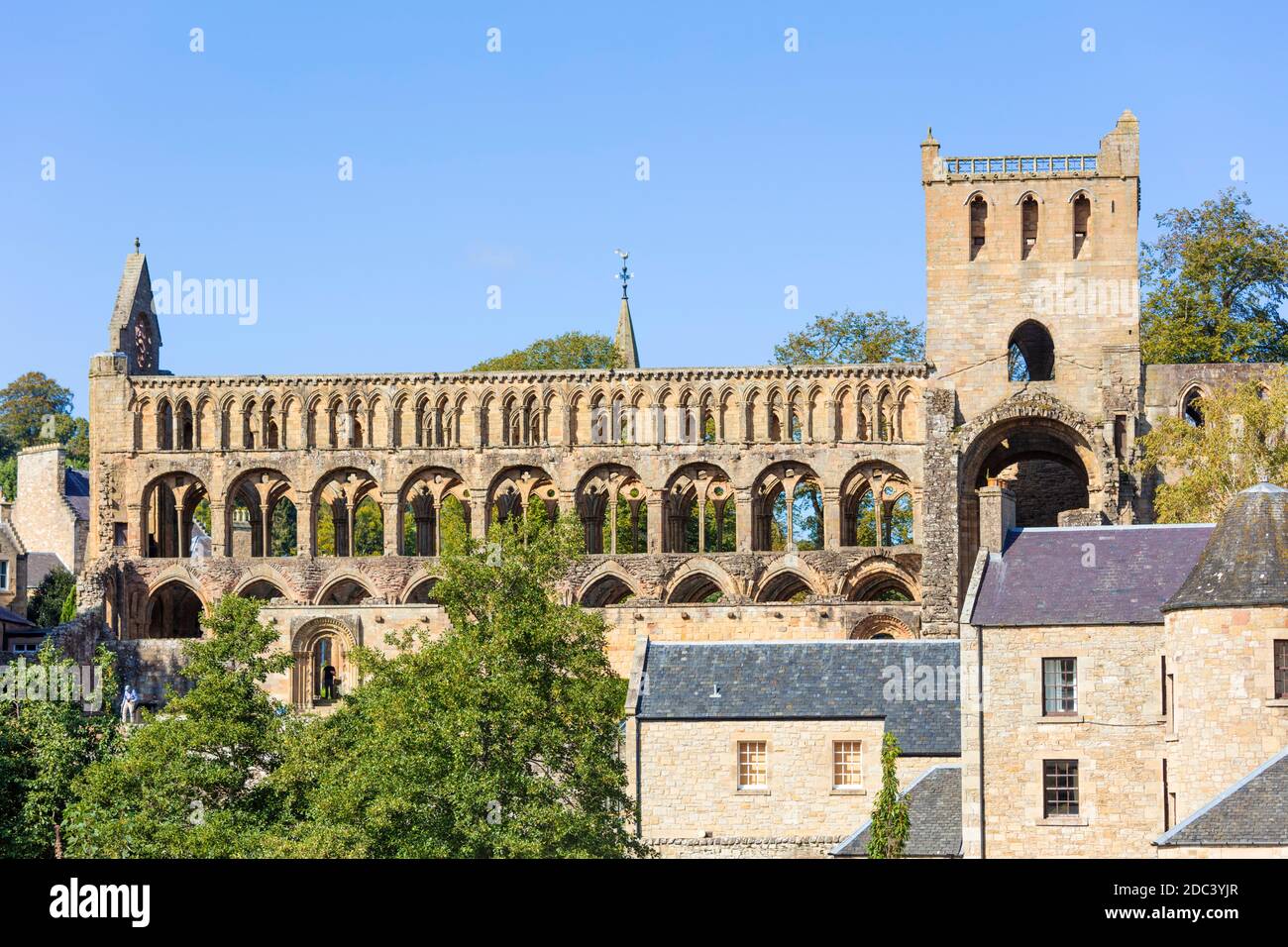 Jedburgh Abbey Jedburgh Scotland Scottish borders Roxburgh, Ettrick and Lauderdale Scotland GB UK Europe Stock Photo