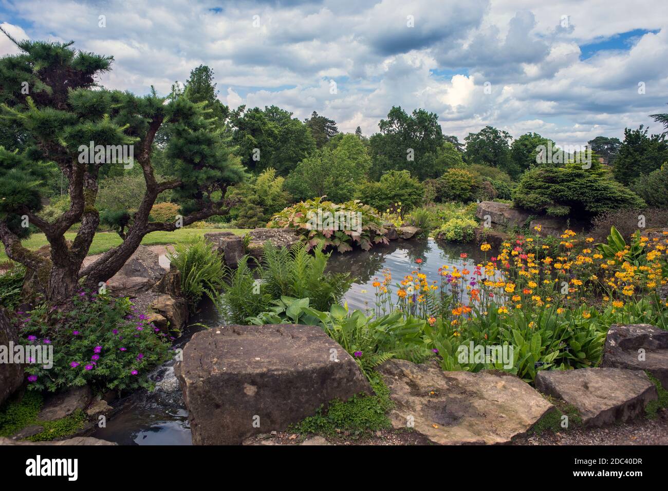 Wisley Garden rockery and ponds RHS in Surrey Stock Photo - Alamy